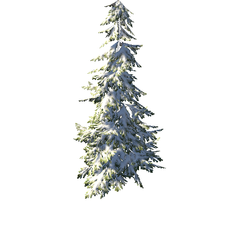 SpruceTreeWinterC 2_afsTREE_xlod00_xlp_1